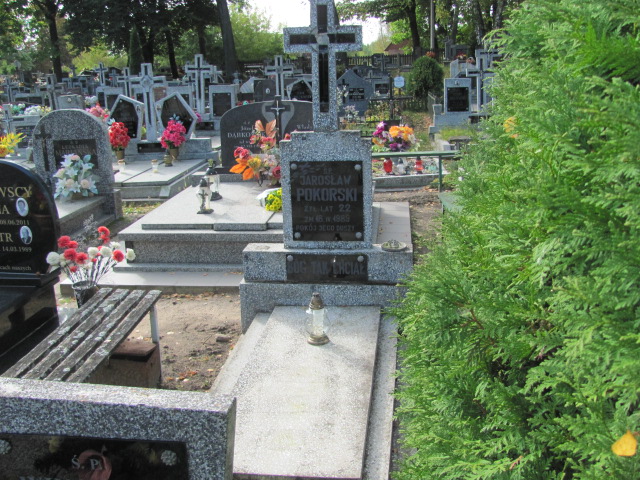 Grób Jarosław Pokorski