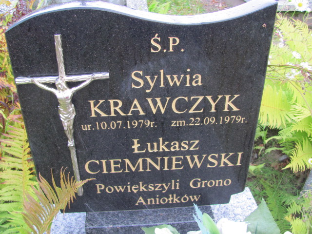 Łukasz Krawczyk/Ciemieniewski 2011 Orzysz - Grobonet - Wyszukiwarka osób pochowanych