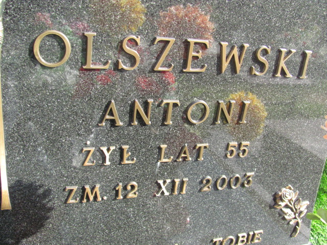Antoni Olszewski 1948 Orzysz - Grobonet - Wyszukiwarka osób pochowanych